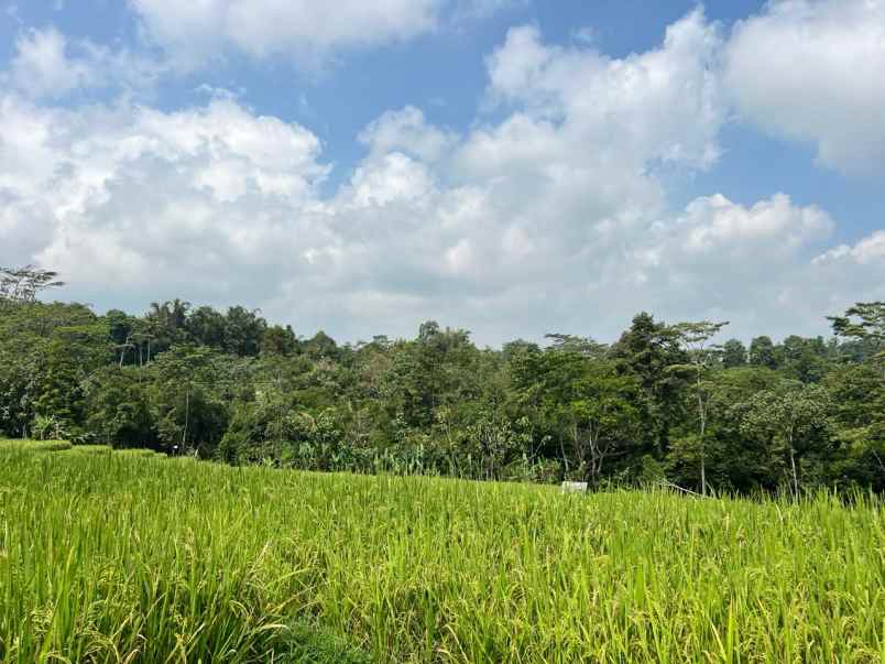 tanah 1600m barat pasar karangpandan