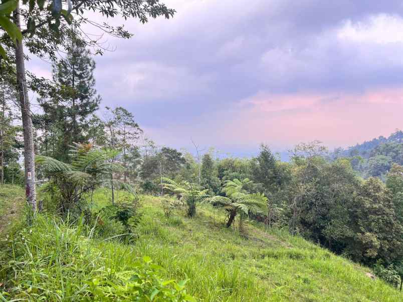 tanah 275 juta kawasan wisata ngargoyoso