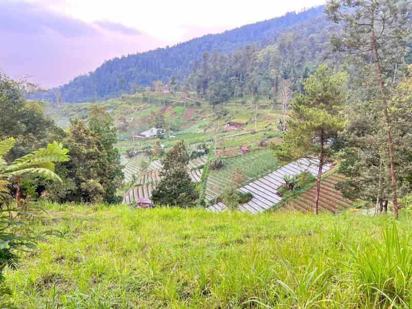 tanah 275 juta kawasan wisata ngargoyoso