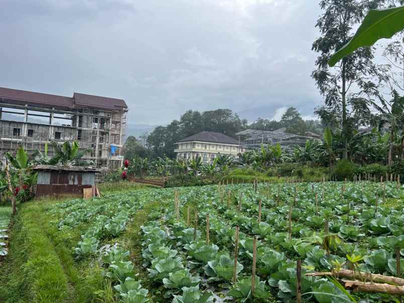 tanah 300m kawasan wisata strategis tawangmangu