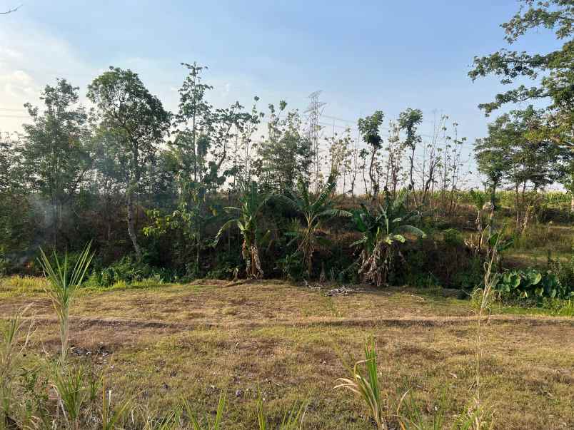 tanah 6746m cocok untuk kebun sragen