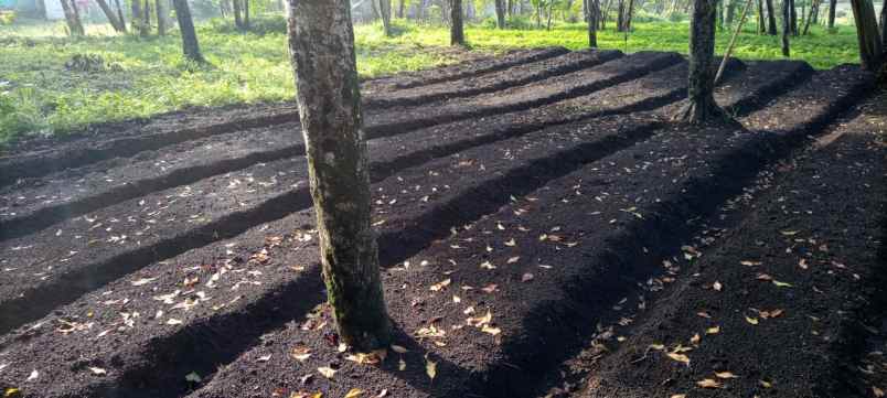 tanah cikole lembang