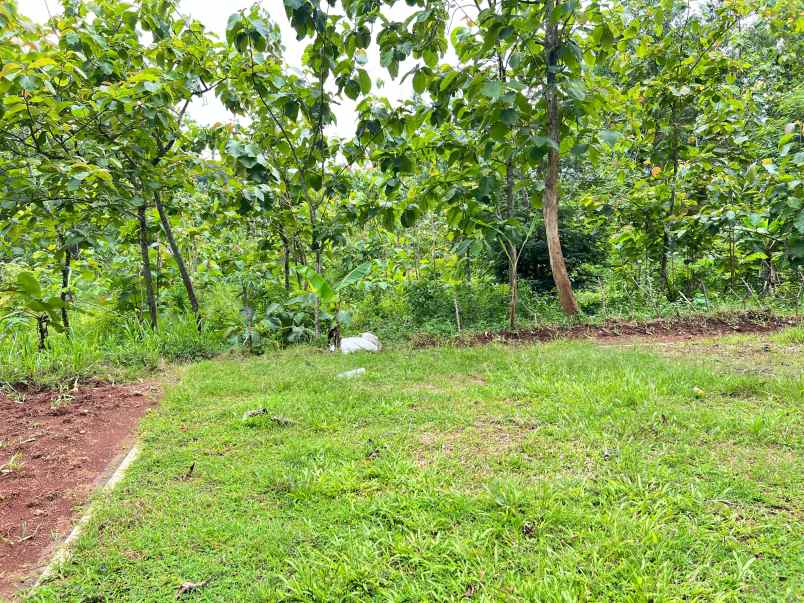 tanah datar timur smp kerjo karanganyar 7905m2