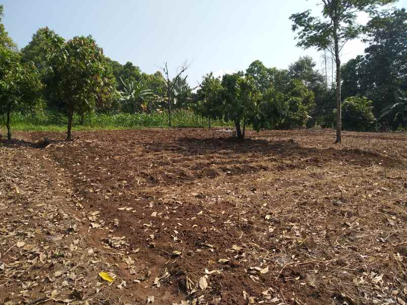 tanah di bkp kemiling luas 5300m surat shm