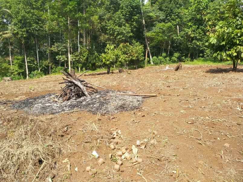 tanah di bkp kemiling luas 5300m surat shm