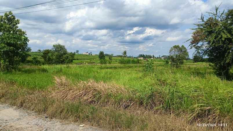 tanah di jatimulyo lampung selatan luas 3760m shm