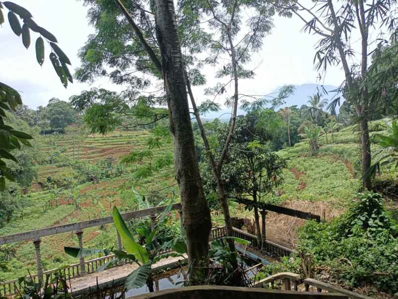 tanah gunung geulis sukaraja bogor