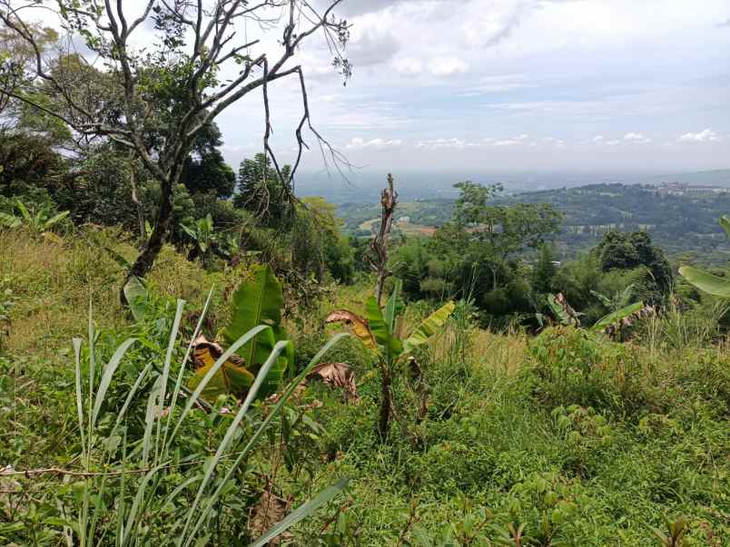 tanah gunung geulis sukaraja bogor