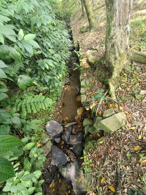 tanah gunung pancar babakan