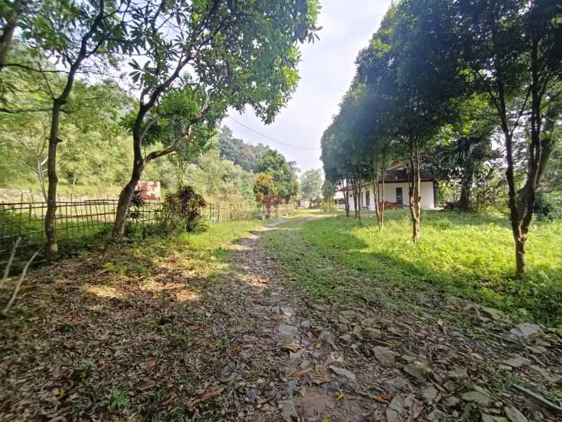 tanah gunung pancar babakan