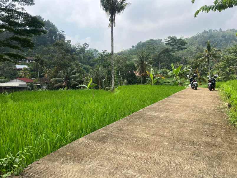 tanah istimewa dekat sungai 750m utara candi cetho