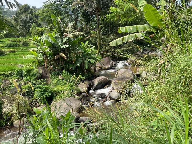 tanah istimewa dekat sungai 750m utara candi cetho