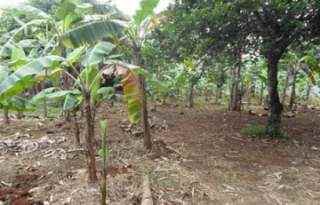 tanah jalan lembur jatisampurna