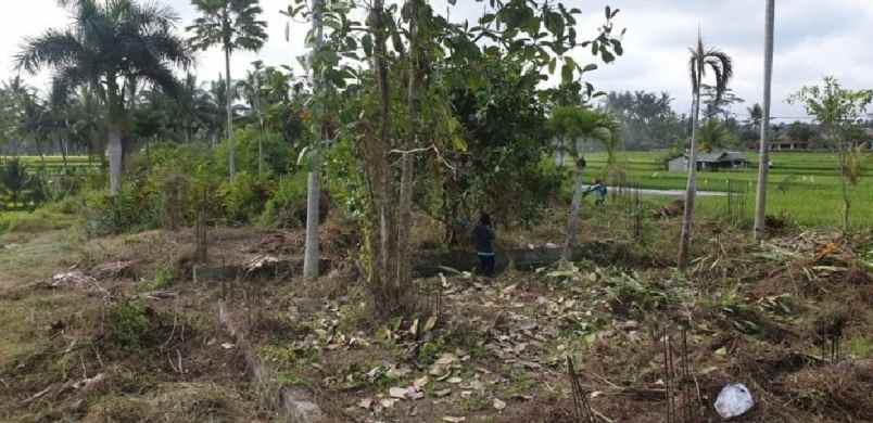 tanah jalan utama tirta tawar ubud bali