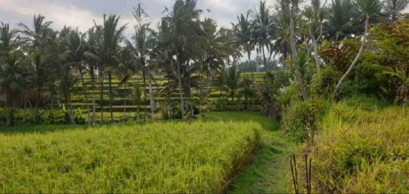 tanah jalan utama tirta tawar ubud bali