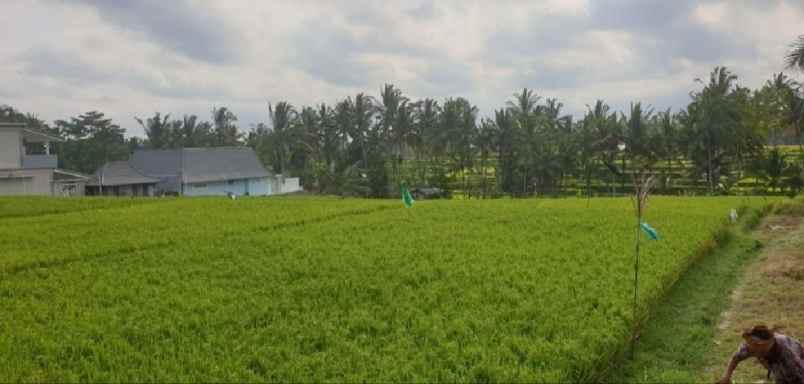 tanah jalan utama tirta tawar ubud bali