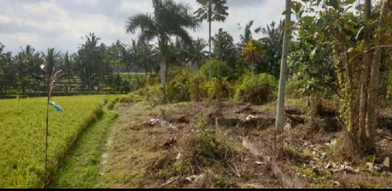 tanah jalan utama tirta tawar ubud bali