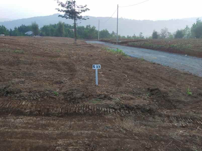 tanah jl desa karya mekar cariu