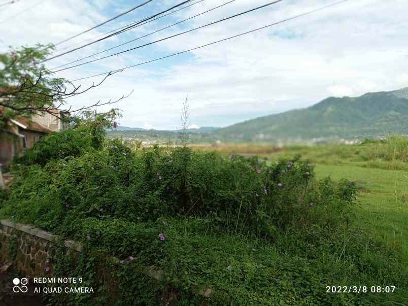 tanah jl raya samarang hampor