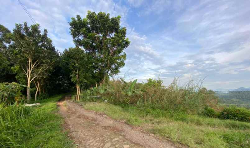 tanah jonggol akses bogor puncak 2