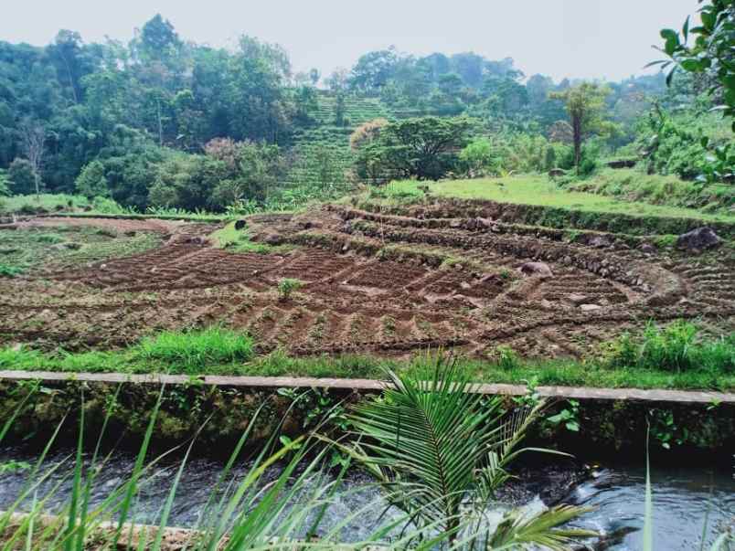 tanah karangpandan karanganyar