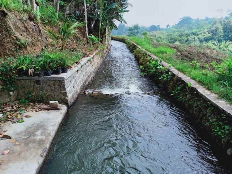 tanah karangpandan karanganyar