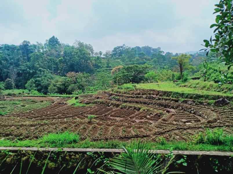 tanah karangpandan karanganyar