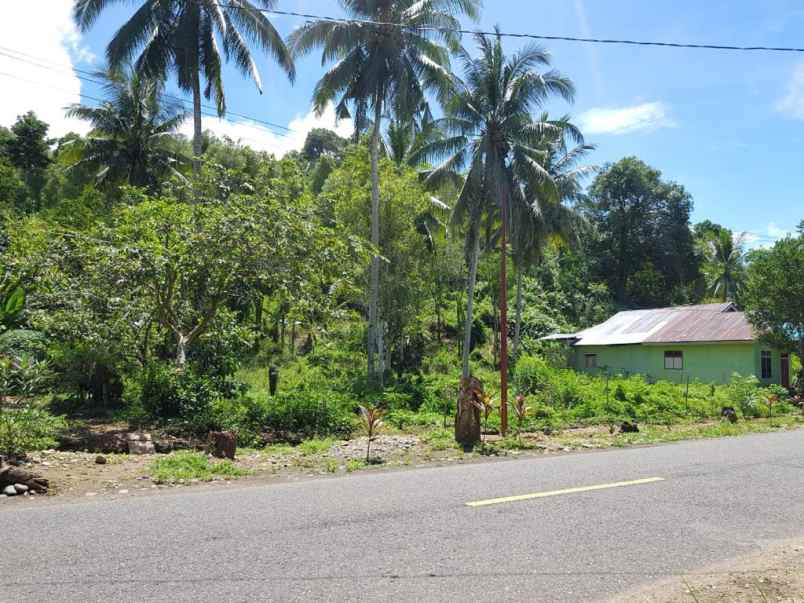 tanah kavling lokasi dekat jalan trans sulawesi
