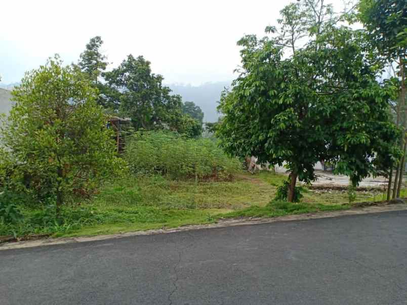 tanah kawasan wisata alam