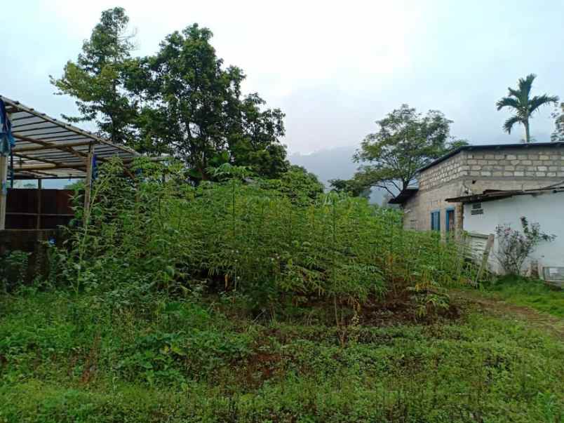 tanah kawasan wisata alam