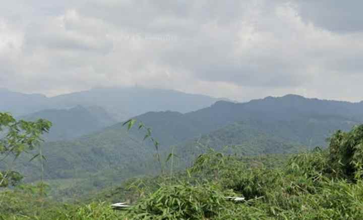 tanah kebun darat view bagus cisalak subang