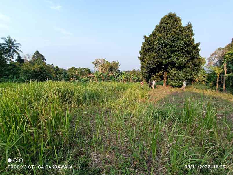 tanah luas 1 3 hektar view laut di batu putuk