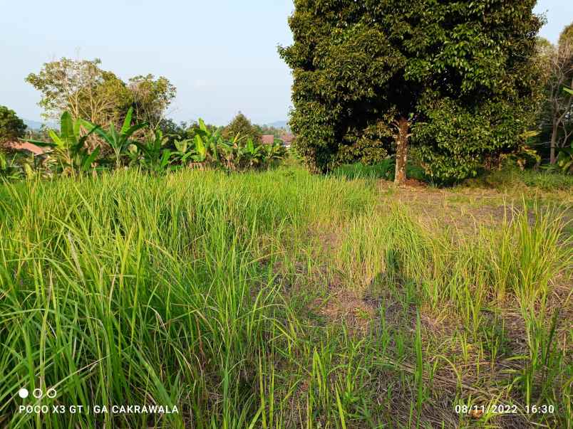 tanah luas 1 3 hektar view laut di batu putuk