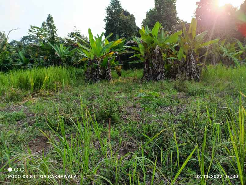 tanah luas 1 3 hektar view laut di batu putuk