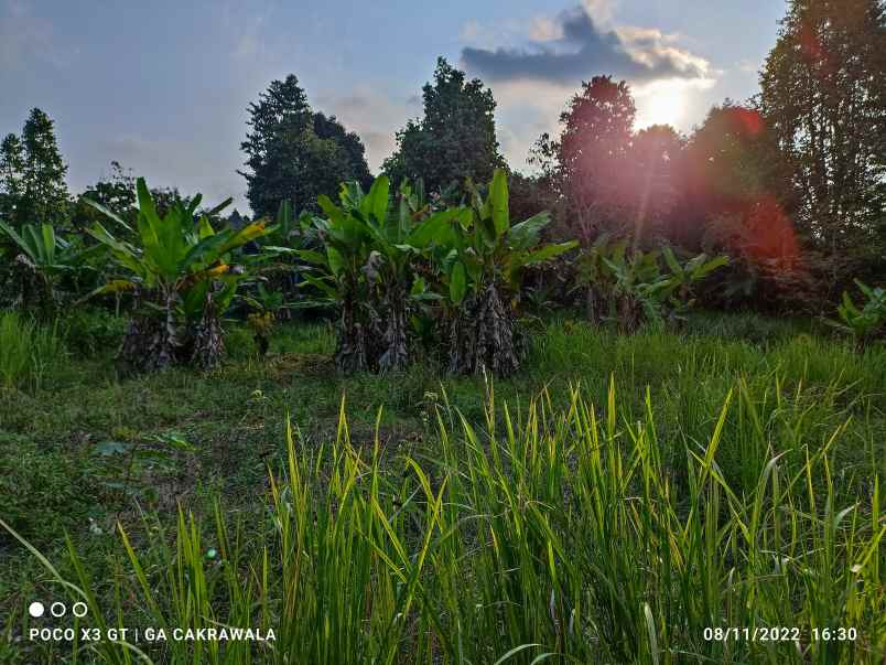tanah luas 1 3 hektar view laut di batu putuk