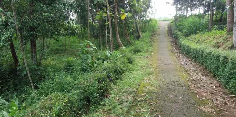 tanah mojogedang karanganyar