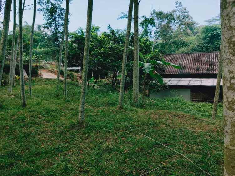 tanah mojogedang karanganyar