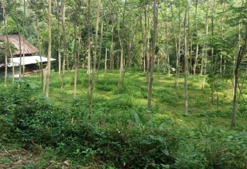 tanah mojogedang karanganyar