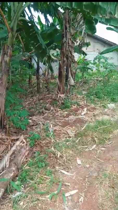 tanah murah 210 m2 akses motor kalibaru depok