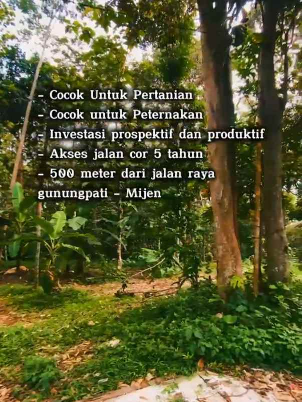 tanah murah banget di karangmalang gunung pati mijen