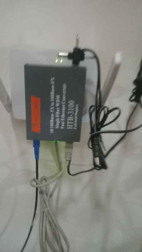 tanah murah bonus pohon jati