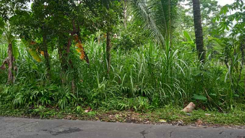 tanah murah strategis pinggir jalan aspal