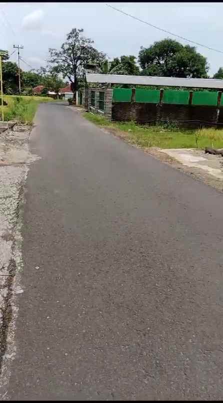 tanah sawah subur view alam pegunungan