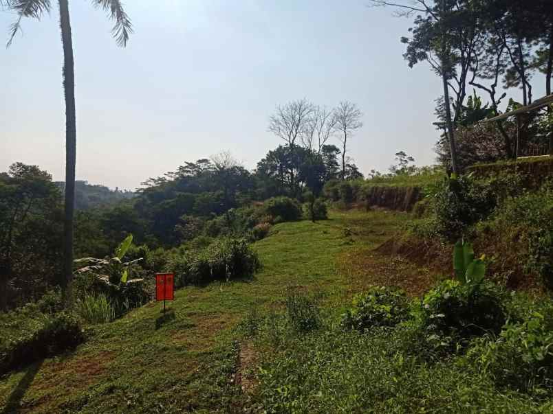 tanah shm 7500 m2 dekat vimala hills puncak bogor