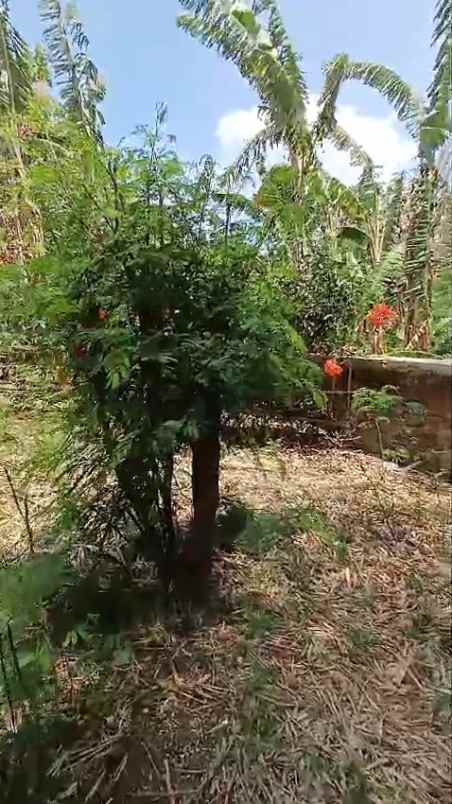 tanah strategis rata dan padat siap bangun