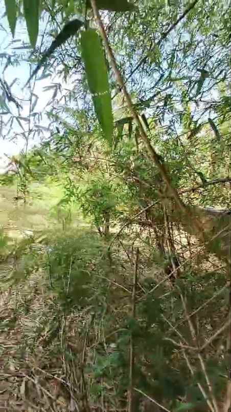 tanah strategis rata dan padat siap bangun