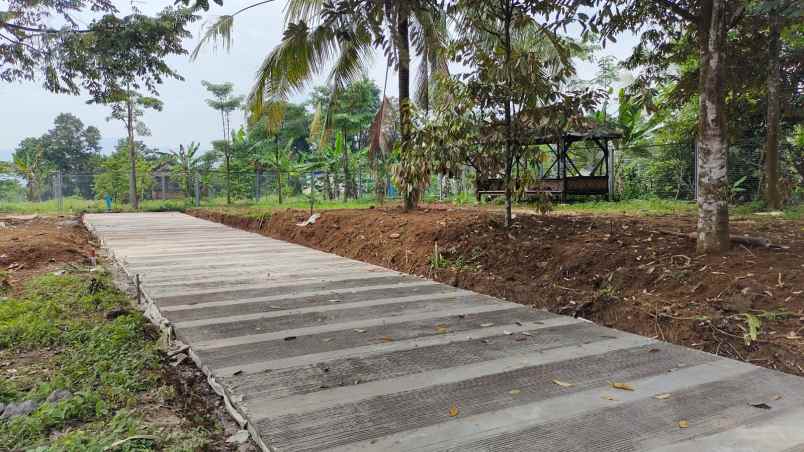 tanah tanjungrasa tanjungsari