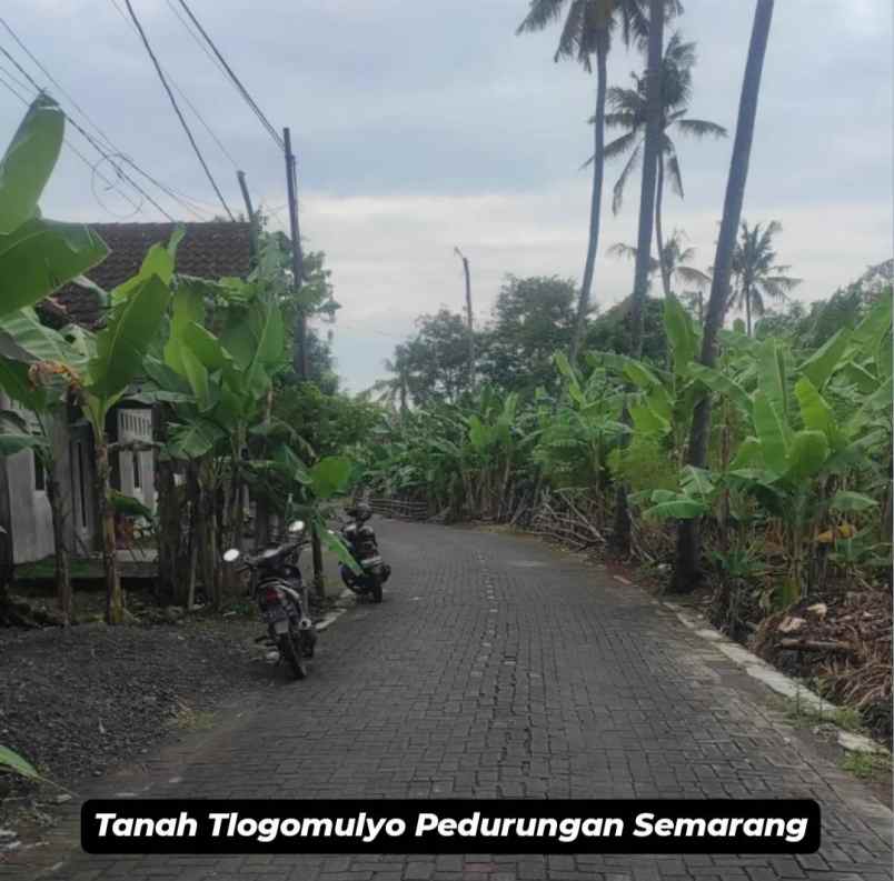 tanah tlogomulyo pedurungan semarang