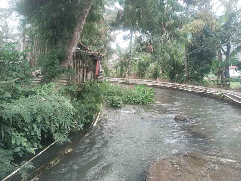 vila dan kolam ikan cijambe subang jawa barat