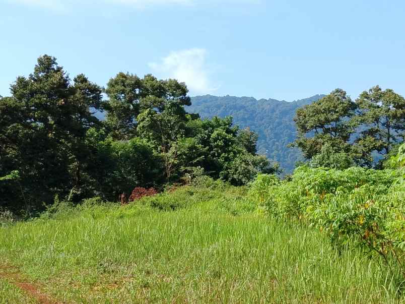 vila kebun produktif cijambe subang jawa barat